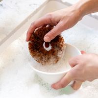 Natural Elements Coconut Scourer